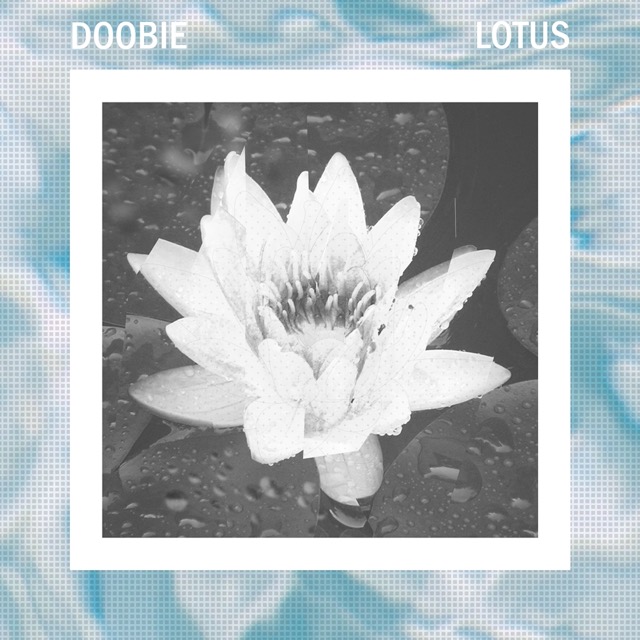 Album LOTUS